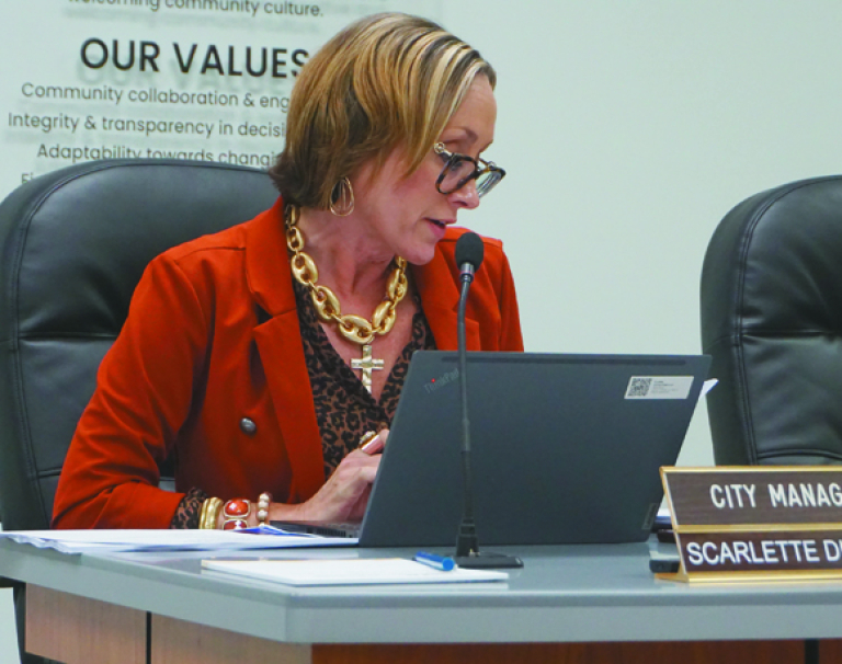 City plans for BLOCK grant to help redesign downtown