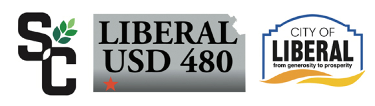 City, school district, college discuss pool options