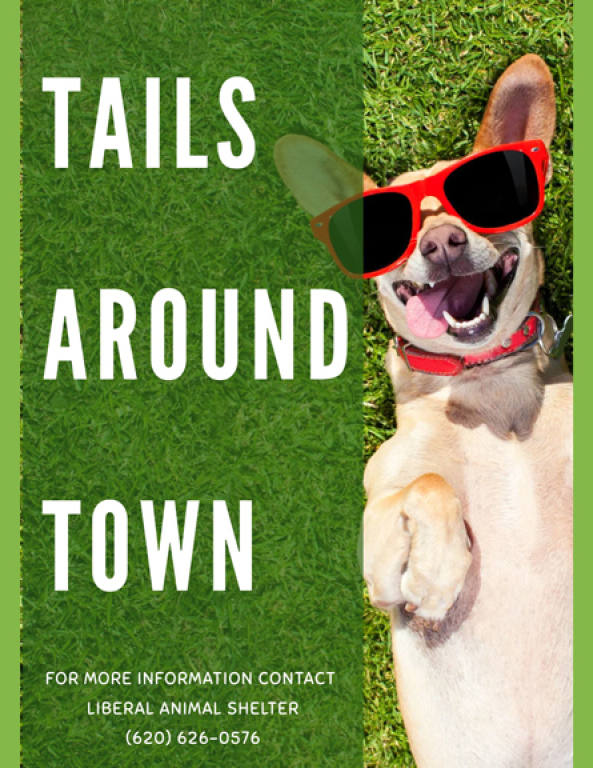 Animal shelter seeks to place TAILS AROUND TOWN