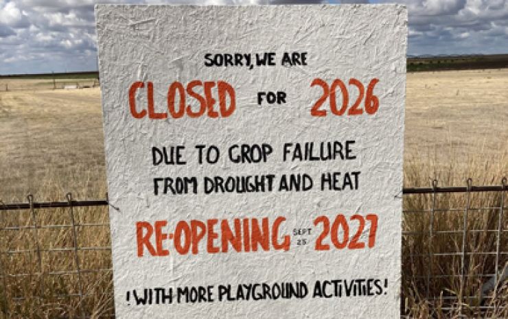 DROUGHT DECIMATES PUMPKIN PATCH