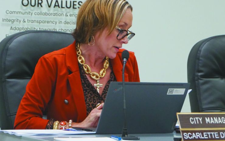 City plans for BLOCK grant to help redesign downtown