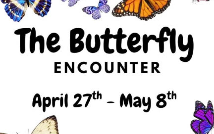 Baker patrons to get a ‘Butterfly Encounter’