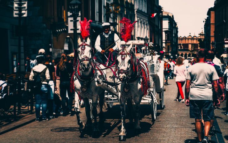 Claritas est etiam processus dynamicus