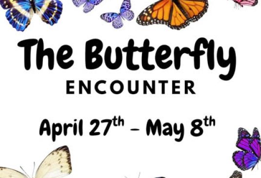 Baker patrons to get a ‘Butterfly Encounter’