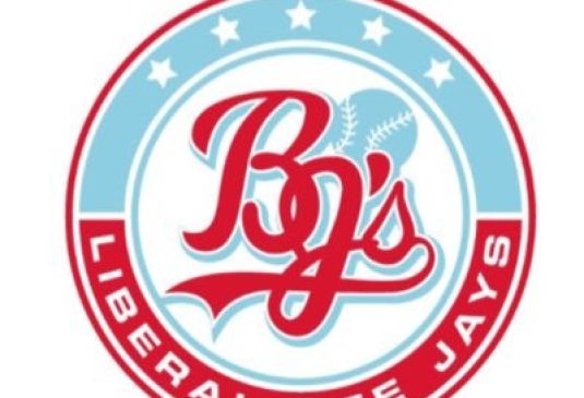 Bee Jays seeking host families for summer season