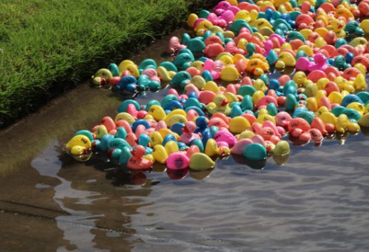 25 years and still swimming — let the Duck Race begin!
