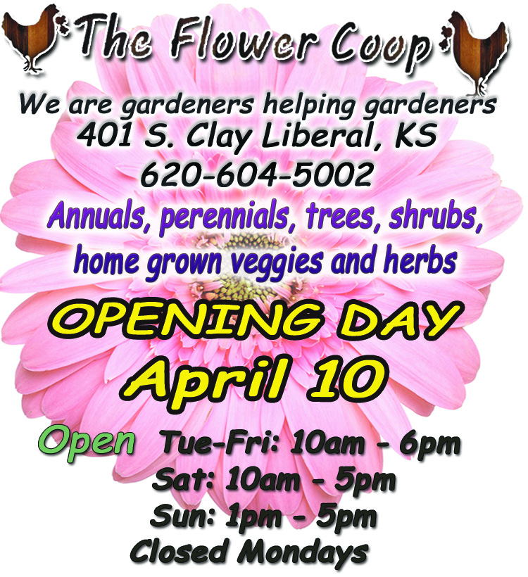flower coop